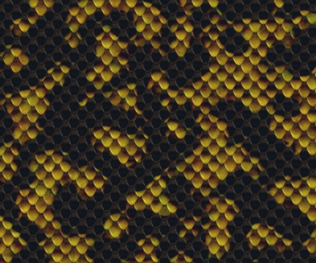 snake skin
