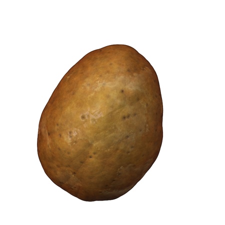 isolated potatoの写真素材