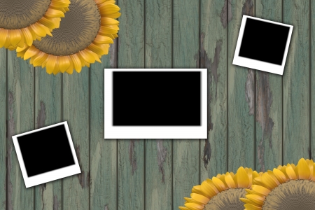 sunflower backgroundの写真素材