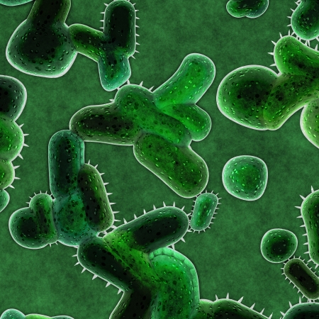 bacteria cellsの写真素材