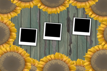 frameの写真素材