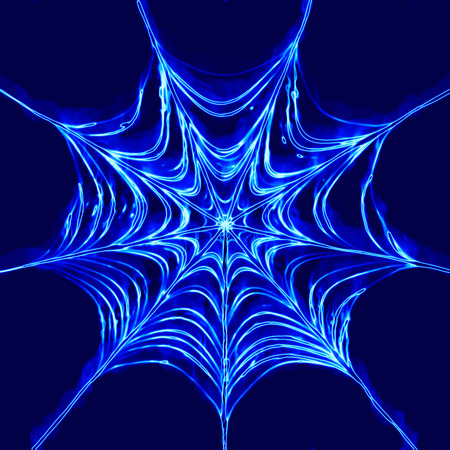 spider webの写真素材