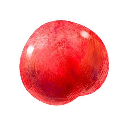 Hand drawn fruit illustration Sumomo (plum, lee)の写真素材