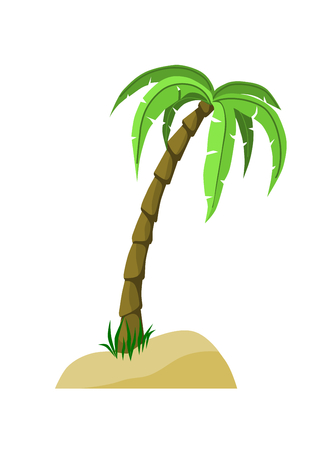Detailed Palm Tree on sand and grass.のイラスト素材