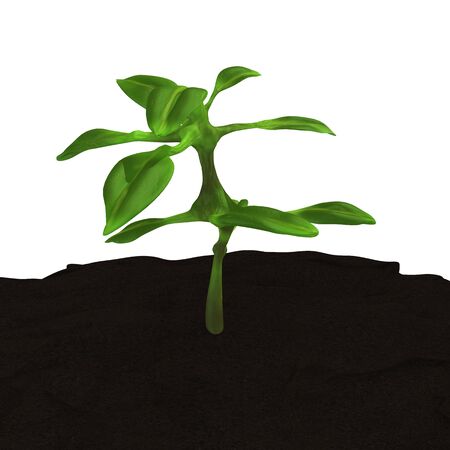 Growing Plant Tree Seeding in the Earth 3D Illustrationの写真素材