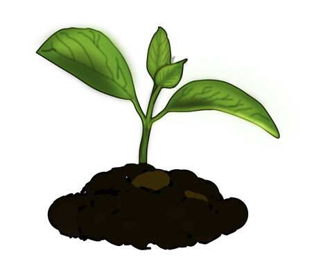 Graphic illustration of a growing plant treeの写真素材