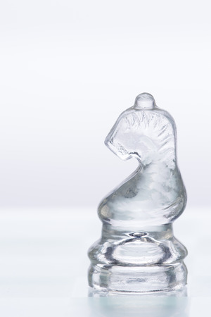 Chess Figures Knightの写真素材