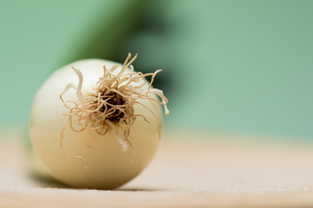 Fresh young onion on cutting boardの写真素材