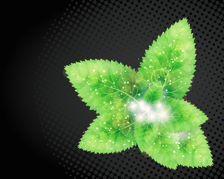 Green leaves abstract background.のイラスト素材