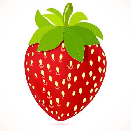 strawberry.のイラスト素材