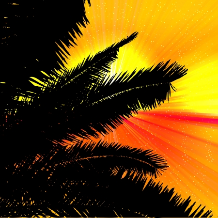 Palms and sunset on tropical background.のイラスト素材