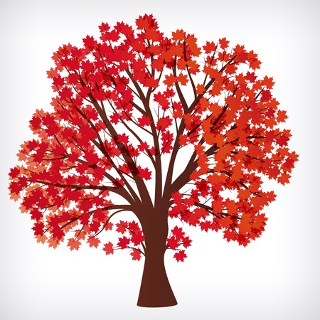 abstract background, maple tree with branches made of autumn leaves.のイラスト素材