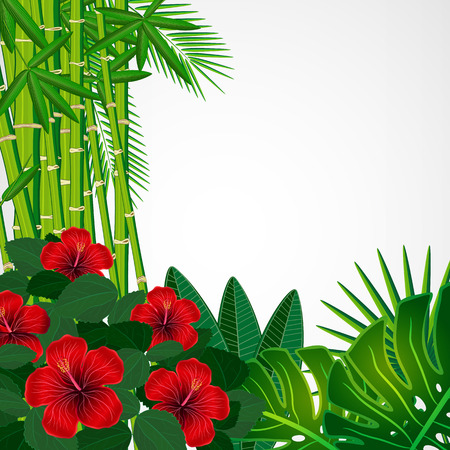 Tropical floral design background のイラスト素材