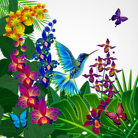 Floral design background. Tropical orchid flowers, birds and butterflies.のイラスト素材