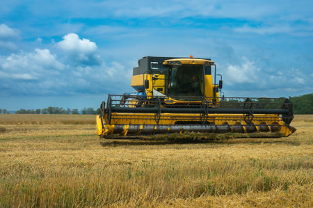 countryside harvest: yellow combine harvester collecting wheat under a clear blue skyの写真素材