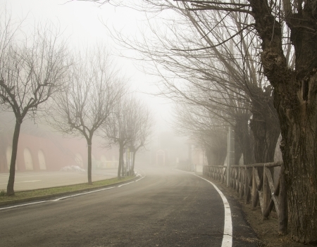 road with trees in winter fogの写真素材