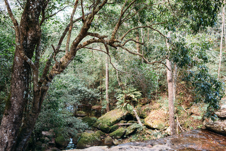 Waterfall at Phu Kradueng in Thailand