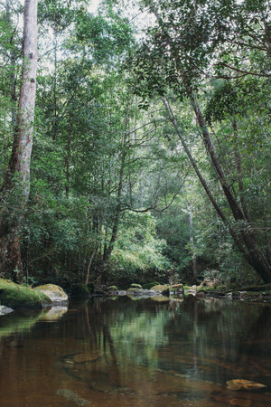 Natural water sources Phu Kradueng national park Thailandの写真素材