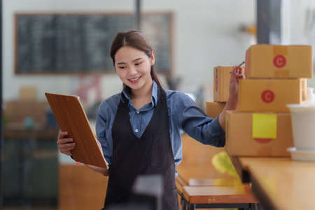 Portrait of modern Asian SME business woman entrepreneur at home office