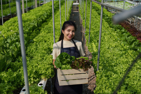 Asian business owner observed about growing organic in hydroponics farm. Growing organic vegetable...