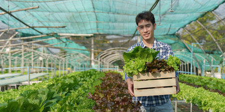 Asian business owner observed about growing organic in hydroponics farm. Growing organic vegetable and Green energy conceptの写真素材