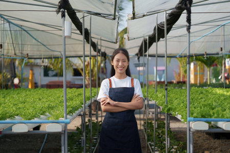 Asian business owner observed about growing organic in hydroponics farm. Growing organic vegetable...