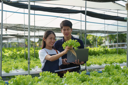 Asian business owner observed about growing organic in hydroponics farm. Growing organic vegetable and Green energy conceptの写真素材