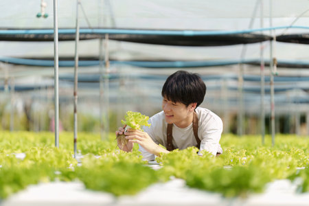 Portrait of farm owner smiling. Asian male business working at organic farm and quality control.の写真素材