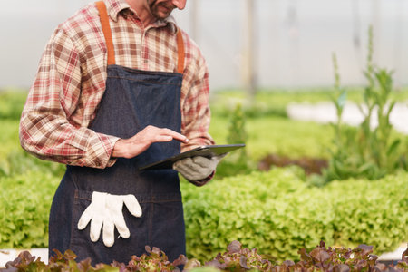 Businessperson or farmer checking hydroponic soilless vegetable in nursery farm. Business and organic hydroponic vegetable conceptの写真素材