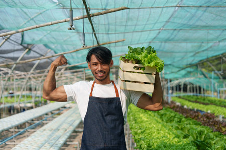 Businessperson or farmer checking hydroponic soilless vegetable in nursery farm. Business and organic hydroponic vegetable conceptの写真素材