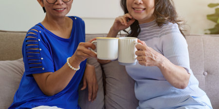 Asian elderly women and friend using social media and living room. Video streaming, happiness and...