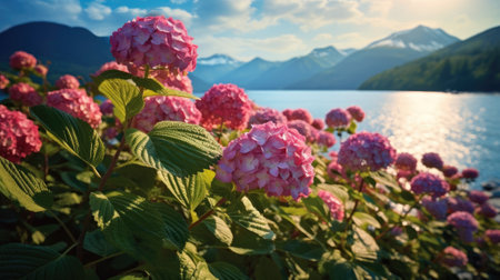 A landscape of hydrangea fields by the lake in natural light, sunlight reflection in the lake, mountains and a bright sky in the background. Generative AIの素材