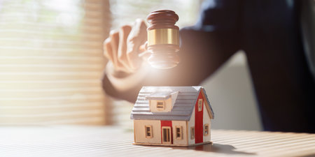 lawyer mediating in a property dispute. Auctioneer knocking down a property sale. Real estate sale...