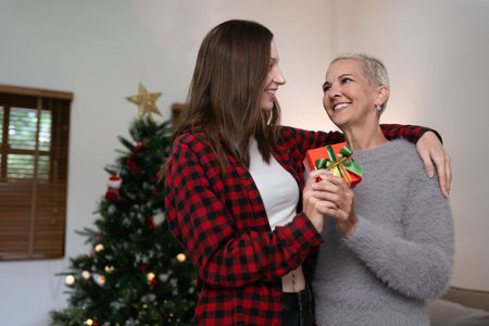 Daughter hug elderly mother with gift box at home in front of tree decorated with Christmas decorationsの写真素材