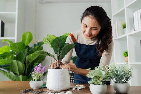 woman plant a flower in a pot to decorate the house to create a good atmosphereの写真素材