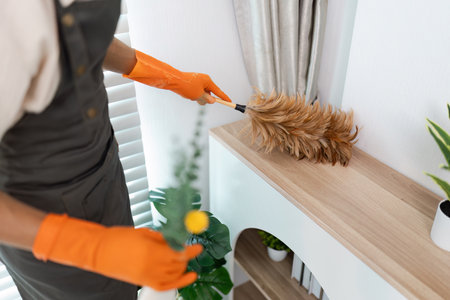 Professional Housekeeper Dusting a Shelf with Feather Duster in a Modern Home Interior