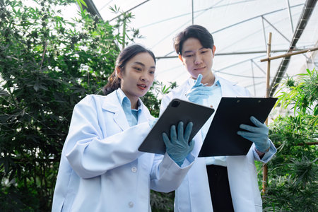 Diverse scientists analyzing plant samples in a greenhouse environment.の写真素材