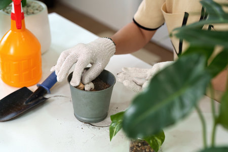 Plant Care and Eco-Friendly Practices. The woman is potting plants, focusing on an eco-conscious hobby that nurtures nature and promotes personal growth.の写真素材
