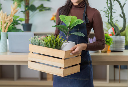 Indoor Gardening. Woman holding wooden crate with assorted potted plants for home decor.の写真素材