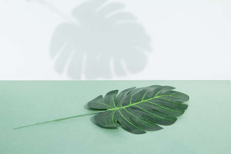 Mockup for the podium using artificial tropical green leaves. Horizontal orientation.の写真素材