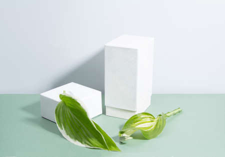 The layout of the two geometric shapes to the runway with green leaves. Horizontal orientation