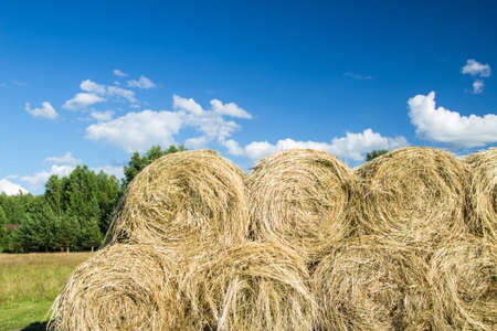 Autumn harvesting of hay by farmers for the winter period for agricultural purposes. Horizontal arrangementの写真素材
