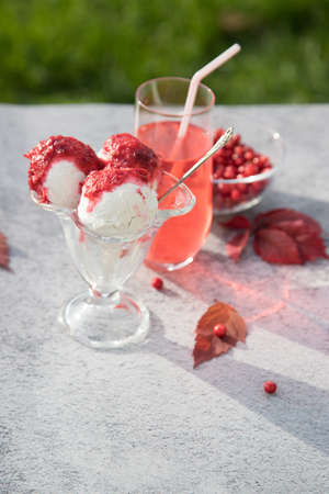 Vegan ice cream, Kombucha with cranberries and cranberries on a light background