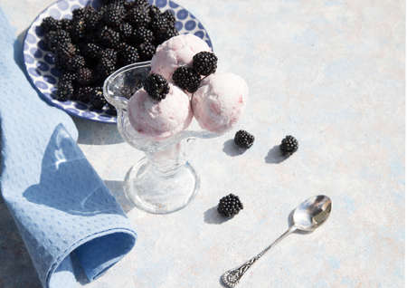 Cream bowl with ice cream and blackberries on a light background. Horizontal orientation. Place for a copy spaceの写真素材