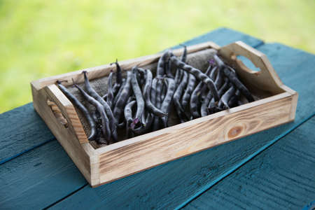 String beans lie on a wooden tray on a blue wooden background. Place for copy space. Horizontal orientationの写真素材