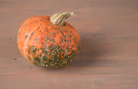 Ugly pumpkin with warts on a brown wooden background. Place for a copy space