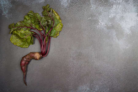 Deformed ugly carrot root crop with a bizarre shape with various appendages on a dark background. A place for a copy of space. Vertical orientationの写真素材