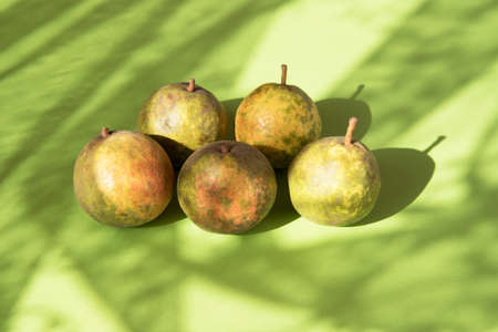 A few pears on a green background with sun highlights and shadows. A place for a space mine....