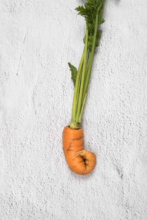 An ugly carrot root vegetable that looks like a shrimp. Vertical orientation