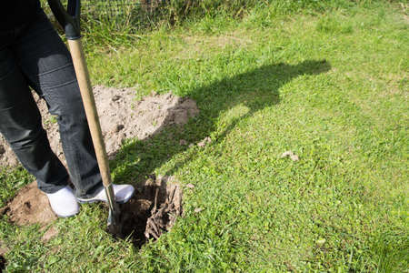 Planting flowers on your own plot. Shadow of a man planting flowers on the grass. Horizontal...